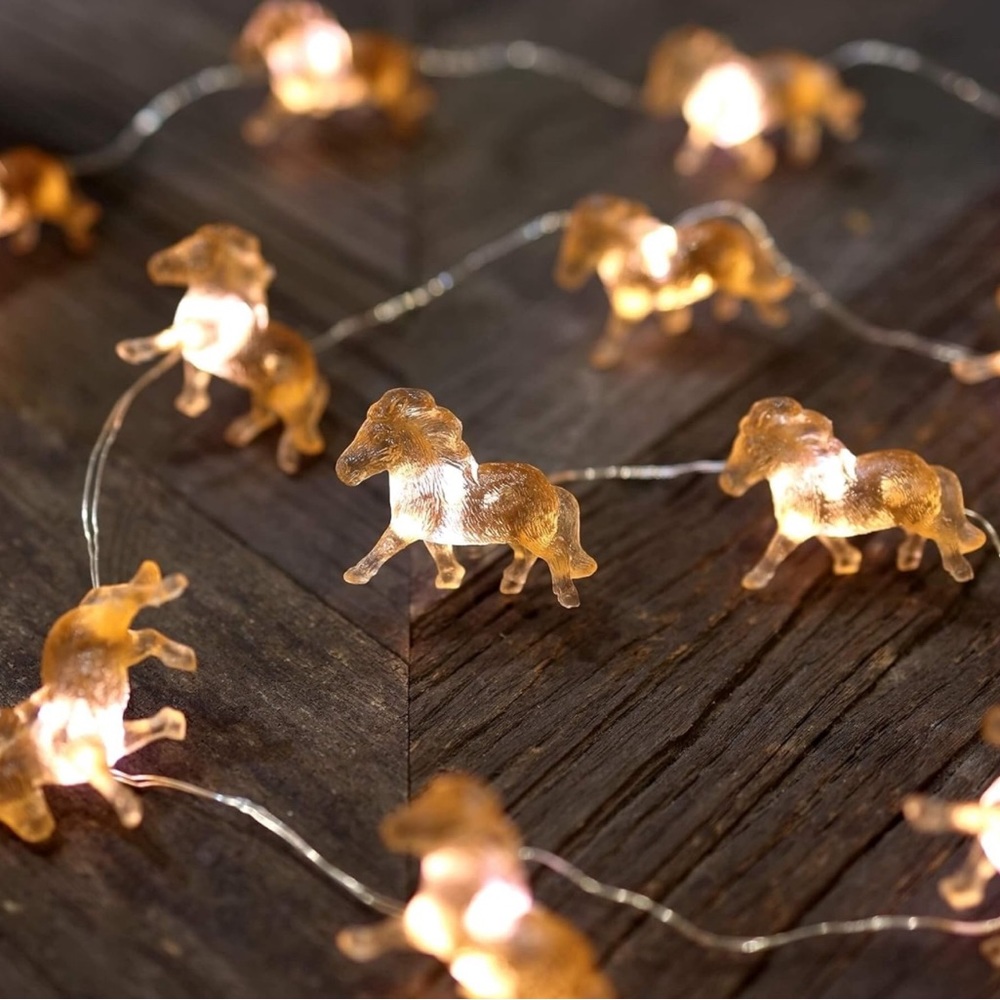 A Horse Lover’s Gift Set - Picture Frames and Fairy Lights - Picture 2 of 3